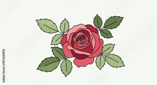 A beautifully illustrated single pinkish-red rose is depicted from a top-down view, surrounded symmetrically by radiating green leaves against a light neutral background.