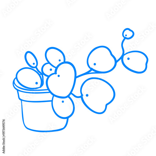 Potted Hoya. Houseplant doodle. Plant growing hobby. Home gardening. Hand-drawn vector line art. Flat icon in Mediterranean blue style.