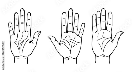 Palmistry hand map set with black line art on white background featuring palmistry, hand map, black line art with illustration and vector
