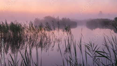 A serene, misty morning over a lake. Tall reeds in the foreground. Water reflects soft purple and pink sky hues, creating a tranquil scene