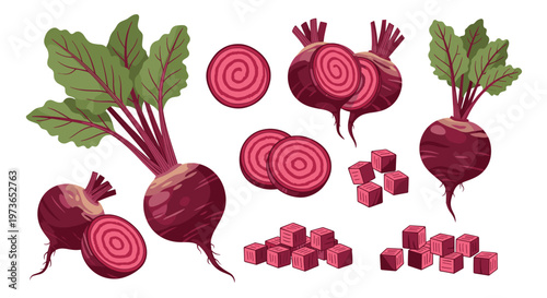Comprehensive set of red beet illustrations shows whole vegetables with leaves, round slices, and small cubes on a white background.