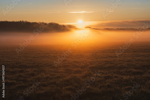 Meadow with fog at morning sunrise. Agriculture, calm Czech landscape background