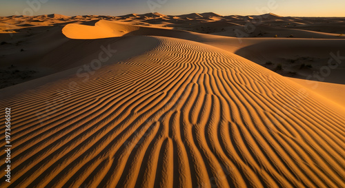 Golden sand dunes stretch across a vast arid desert landscape