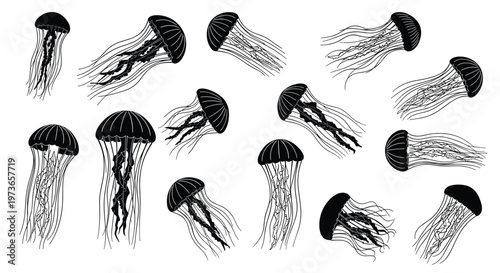 Artistic pattern of several detailed black and white jellyfish floating gracefully against a clean white background.