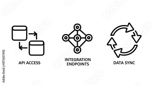 Api access and data integration endpoints icons