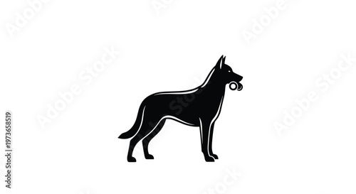 Strong silhouette of a large dog carrying a dumbbell or heavy toy in its mouth against a clean white background.