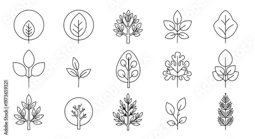 Leaves line drawn set with various shapes and sizes, simple black outline botanical illustrations featuring leaf, plant, plants with botany and