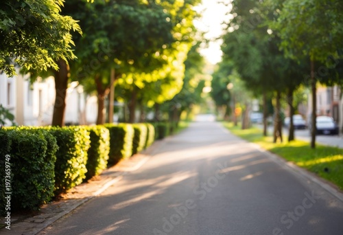 Peaceful Residential Street with Sunset Light