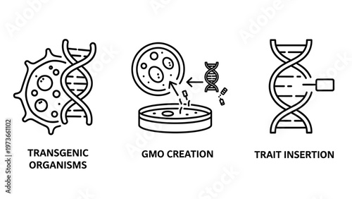 Gmo creation and trait insertion icons