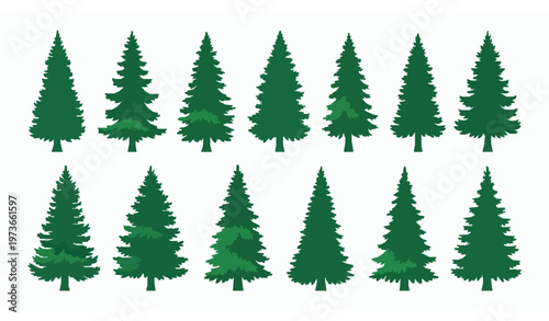 Pine fir and spruce tree set side view conifer vector illustration isolated on white background