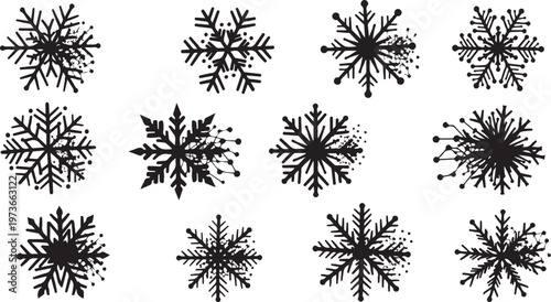 Collection of unique black snowflakes on white background illustration