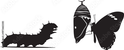 Caterpillar and butterfly emerging from chrysalis silhouette icon set