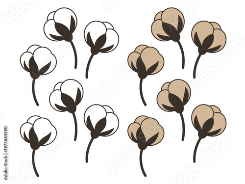 Fotografia Simple of white and beige cotton bolls with dark brown stems and leaves plant fl