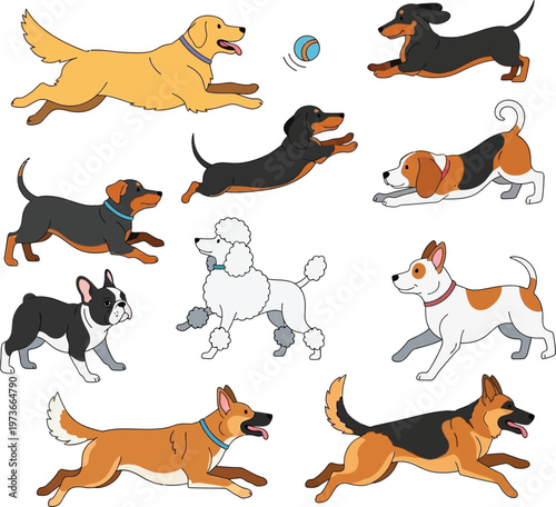Collection of cartoon dogs in various poses and breeds on white background animal