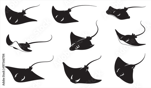Stingray silhouettes set with marine fish poses ocean wildlife illustration