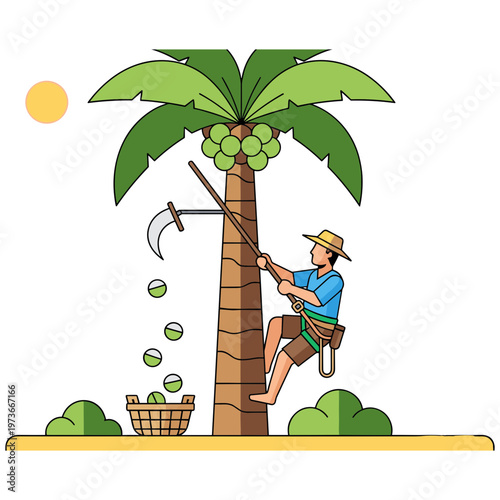 Man climbing palm tree harvesting coconuts with sickle near basket outdoors