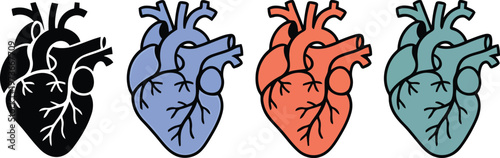 Human hearts in different color schemes