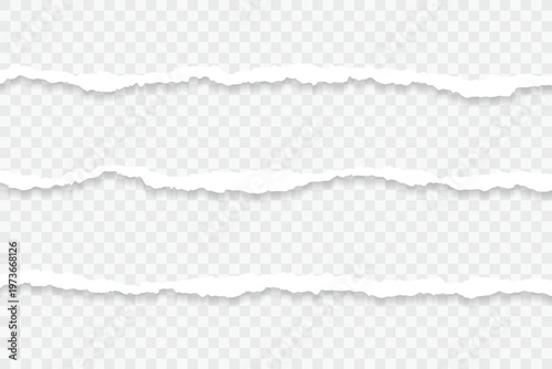 torn paper edges texture. eps