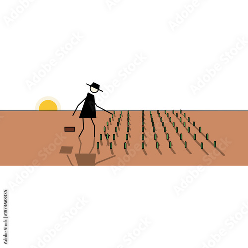 A woman is planting green shoots in a vast field at sunset.