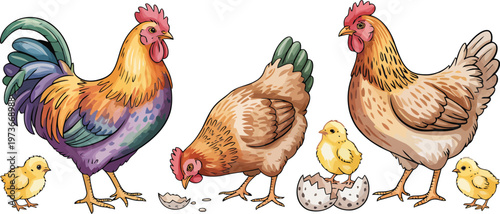 Colorful rooster hen and chicks in a farmyard scene