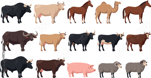 Farm Animals Collection Cattle Bulls Sheep Pig Livestock Flat Vector Set