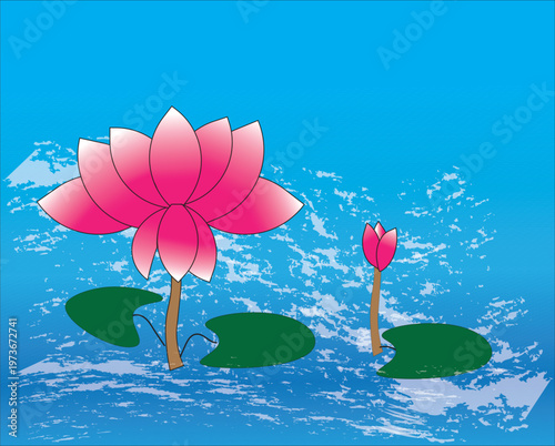 A beautiful pink lotus flower vector illustration featuring a blooming water lily with green leaves in a summer pond garden