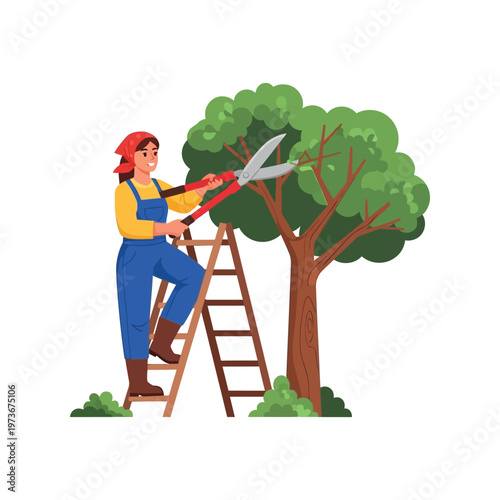 Gardener pruning tree in colorful flat illustration with bright green leaves and brown ladder for landscaping