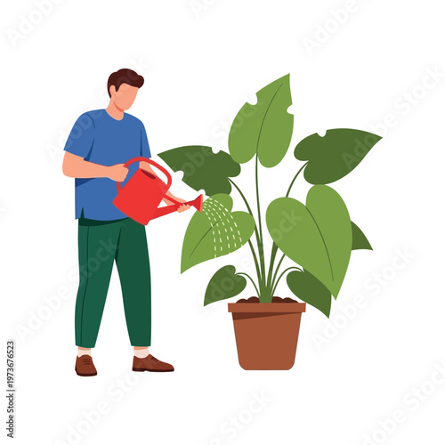 Man watering large green houseplant in brown pot with red watering can in casual style for gardening