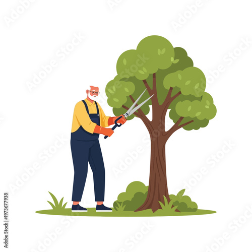 Older man pruning tree with hedge clippers in flat colorful illustration for gardening