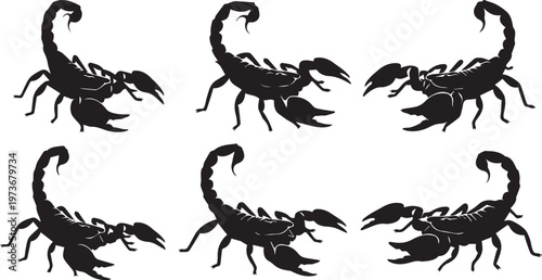 Scorpion Silhouette Set, Predatory Desert Insect Vector Icons