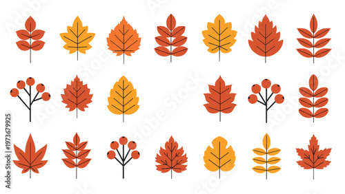 Collection of various autumn leaves and berries arranged in a grid pattern showing beautiful fall seasonal elements.