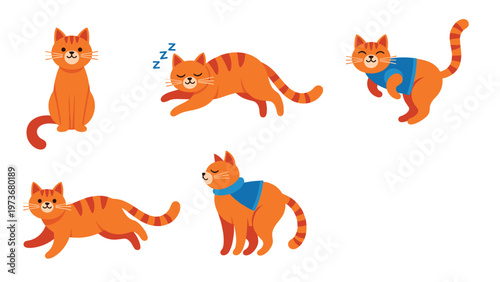 Collection of cute ginger tabby cats in different poses such as sitting, sleeping, walking, and wearing a blue sweater.