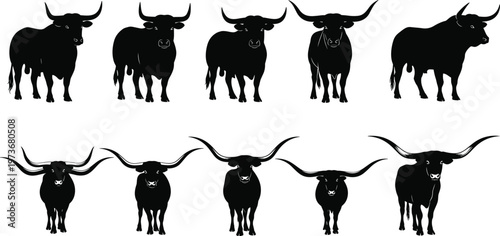 Set of black silhouettes featuring majestic longhorn cattle and powerful bulls with large horns isolated on white background vector