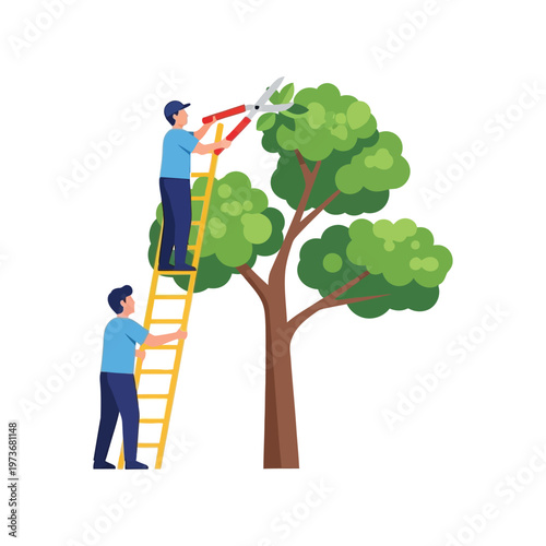 Two men pruning tree with ladder in flat illustration style for landscaping services