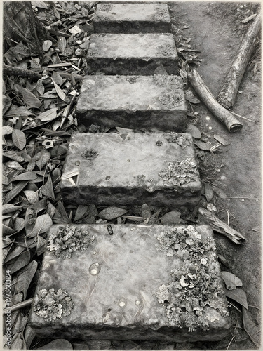 Forest Path Stepping