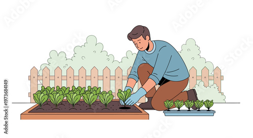 Gardener planting lettuce seedlings in a raised garden bed, healthy organic vegetables