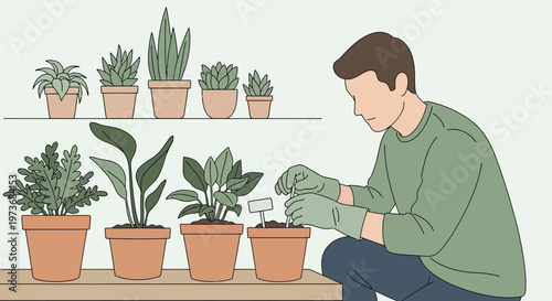 Gardener planting houseplants in pots on a table, home gardening hobby