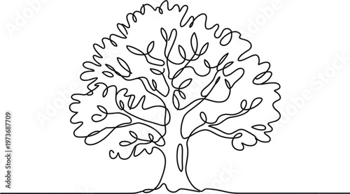 Minimalist line of a oak tree with detailed branches and leaves