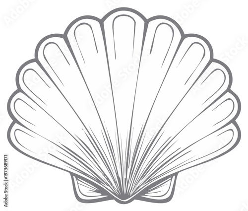 Elegant Scallop Shell Outline Vector Drawing Marine Ocean Design Element