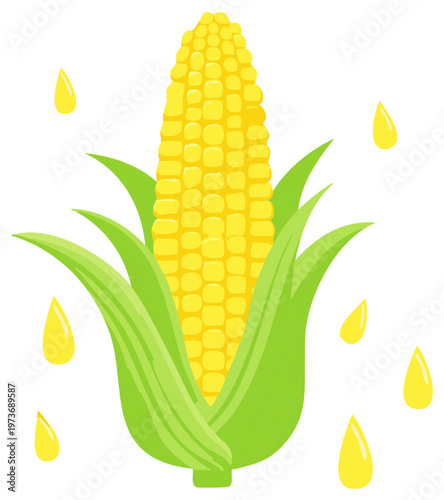 Fresh Corn with Green Leaves and Yellow Drops Agriculture Illustration