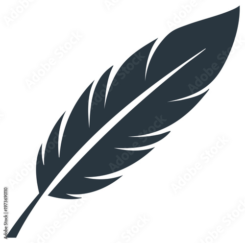 Stylized feather illustration, dark color, isolated on white background