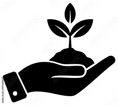 Hand holding seedling with leaves, symbol of growth and new beginnings
