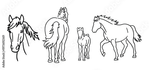 Horses Family Vector Illustration
