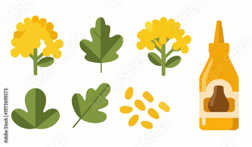 Flat mustard plant illustration set with yellow flowers seeds leaves and sauce bottle modern vector design