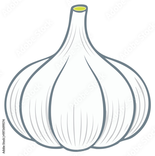Stylized vector illustration of a single white garlic bulb with a green stem