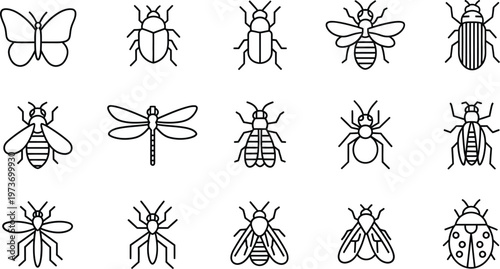 Simple line art insect icons, isolated bug and butterfly set design.