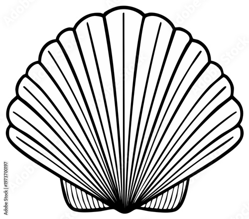 Simple Linear Shell Illustration for Coloring and Vector Graphics Use, Marine Life, Nautical Theme