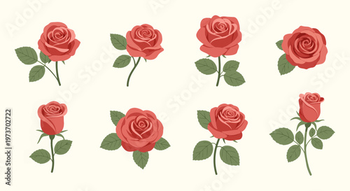 Vibrant red roses in full bloom.