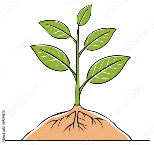 Young green plant with visible roots growing in fertile soil
