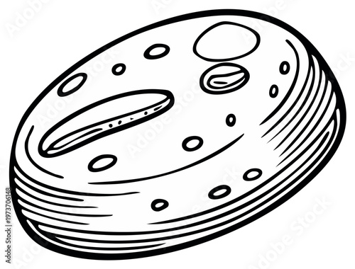 Sketch of a cell with nucleus and other organelles in a black outline style